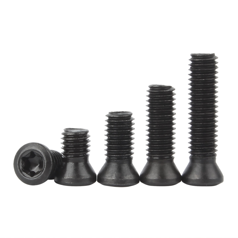 Grade 12.9 CNC Insert Torx Sch - Cnc Wood Lathe Machine recensie en prijs
